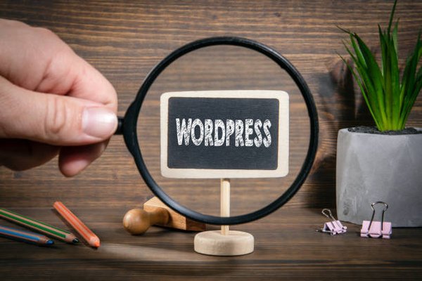 Apprenez à créer votre site web avec wordpress à nice